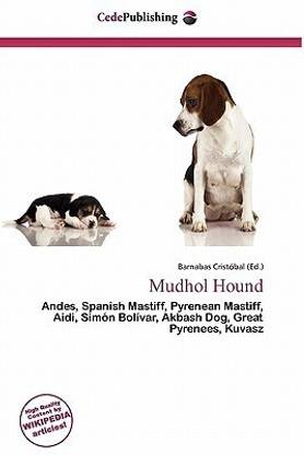 Mudhol Hound