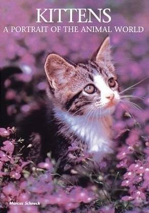 Kittens