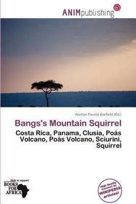 Bangs's Mountain Squirrel