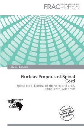 Nucleus Proprius of Spinal Cord
