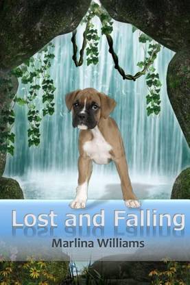 Lost and Falling