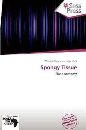 Spongy Tissue