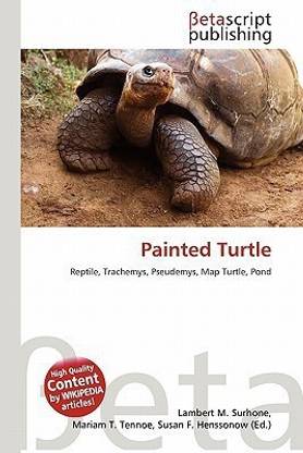 Painted Turtle