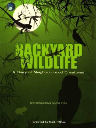 Backyard Wildlife: Diary of Neighbourhood Creatures