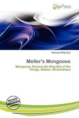 Meller's Mongoose