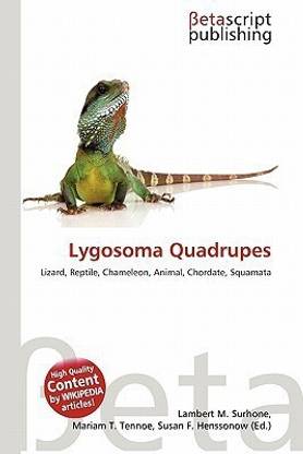 Lygosoma Quadrupes