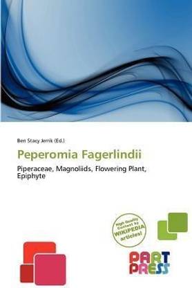 Peperomia Fagerlindii