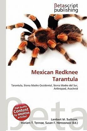 Mexican Redknee Tarantula