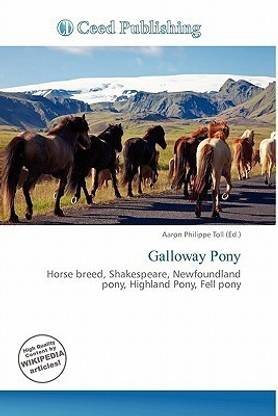 Galloway Pony