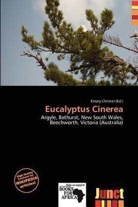 Eucalyptus Cinerea