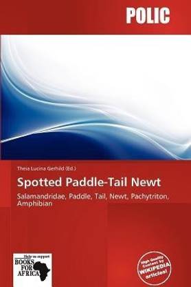 Spotted Paddle-Tail Newt