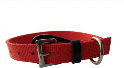 kuze Embellished Dog Collar Charm