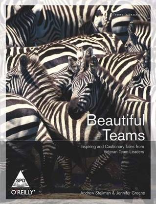 Beautiful Teams Inspiring and Cautionary Tales from Veteran Team Leade