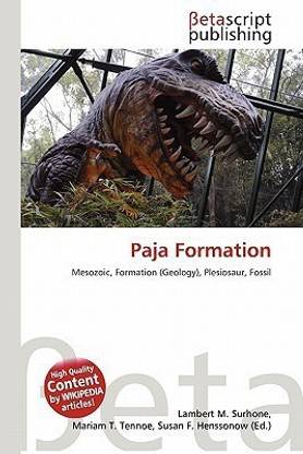 Paja Formation