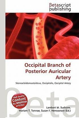 Occipital Branch of Posterior Auricular Artery