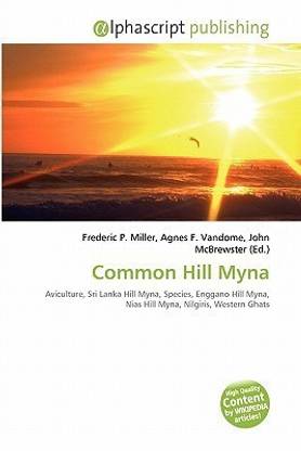 Common Hill Myna
