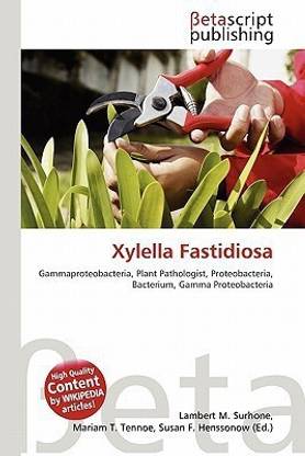 Xylella Fastidiosa