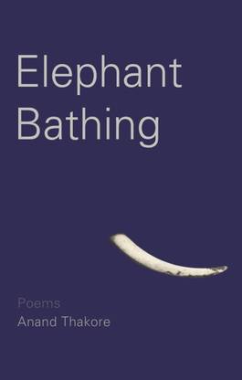 Elephant Bathing