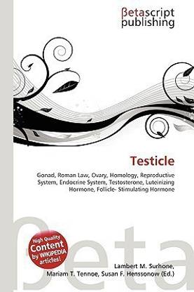 Testicle