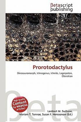 Prorotodactylus
