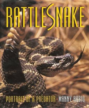 Rattlesnake
