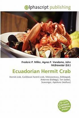 Ecuadorian Hermit Crab