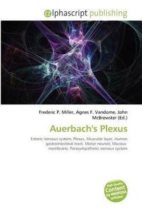 Auerbach's Plexus