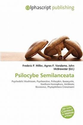 Psilocybe Semilanceata