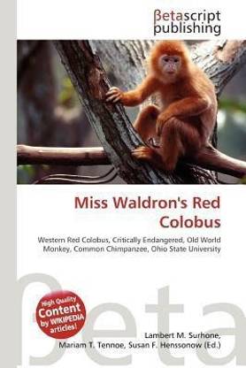 Miss Waldron's Red Colobus