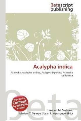 Acalypha Indica