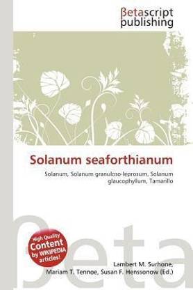 Solanum Seaforthianum
