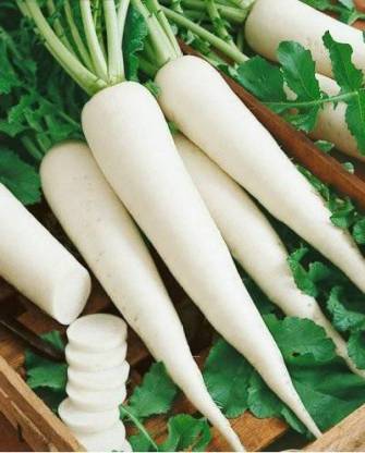 ROSEMERC RADISH VEGETABLE (200 SEEDS) PER PACKET Seed