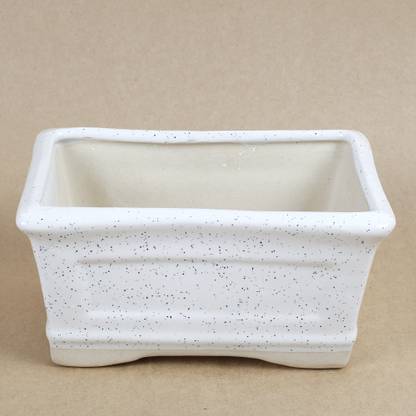 Ferns N Petals White Bonsai Tray Vase- Big Plant Container Set