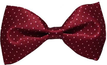 LOOPA Polka Print Tie