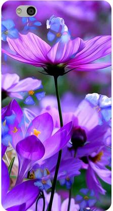 BLCON Back Cover for Infocus M680