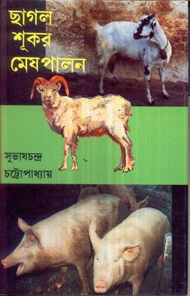 Chhagal Sukar Mesh Palan