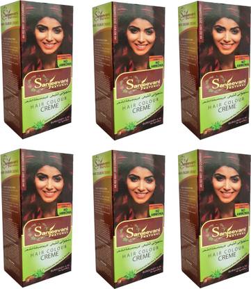 संजीवनी नैचुरल BURGUNDY Hair Color Creme For Women & Men NO AMMONIA (Pack Of 6) हेयर कलर