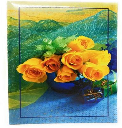 NATRAJ Photo Album with Thick Extra Clear PVC Film, 80 Pocket, (Photo Size Supported: 4'x6') Album