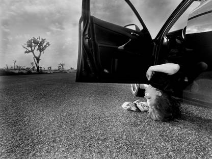 PWL -shirley-manson 13*19 inches Music Wall Poster Fine Quality Matte Finish Paper Print