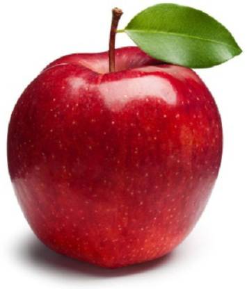 OhhSome Apple Tree - Malus Pumila Seeds For Planting Fruit Seeds Pack Seed