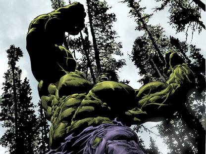 Hulk Vs Wolverine Hulk Wall Poster Paper Print
