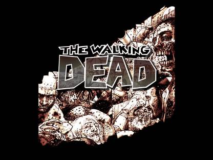 Comics The Walking Dead HD Wallpaper Background Photographic Paper
