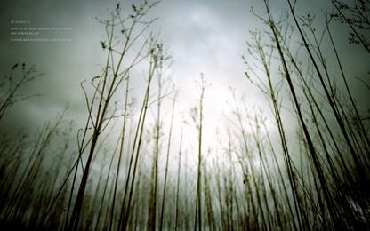 Music Nine Inch Nails Band (Music) United States NIN Rock HD Wallpaper Background Fine Art Print