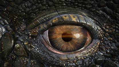 Movie Sea Rex 3d: Journey To A Prehistoric World Animal Wildlife Crocodile Eye Close-up Cool Reptile HD Wallpaper Background Paper Print