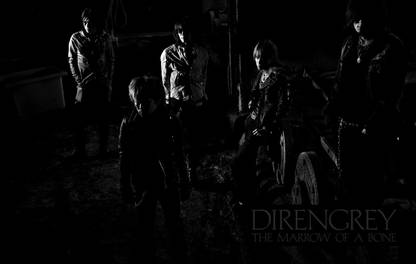 PL Music Dir En Grey Band (Music) Japan Band Wall Poster 13*19 inches Paper Print