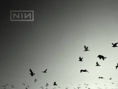 Music Nine Inch Nails Band (Music) United States HD Wallpaper Background Fine Art Print