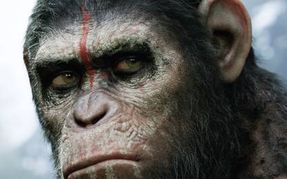 AnanyaDesigns Wall Poster Movie Dawn Of The Planet Of The Apes Paper Print