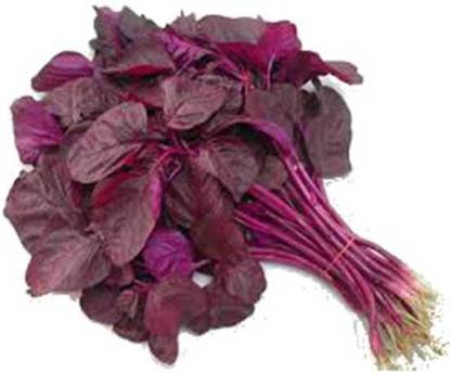 OrchidWala Red Amaranth Spinach - JABAKUSUM - LAL SHAK Seed