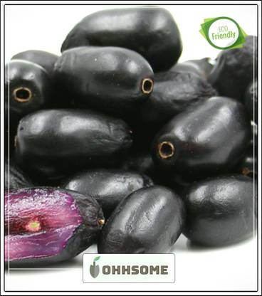 OhhSome Rohini Nakshathra Tree Seeds- Njaval Tree Fruit Seeds Kitchen Garden Pack Seed