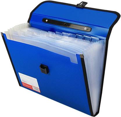 Furious3D Polypropylene A4 Size Full Expanding A4 Document Organizer with 13 Pockets, Handle, Index Tab (Blue)